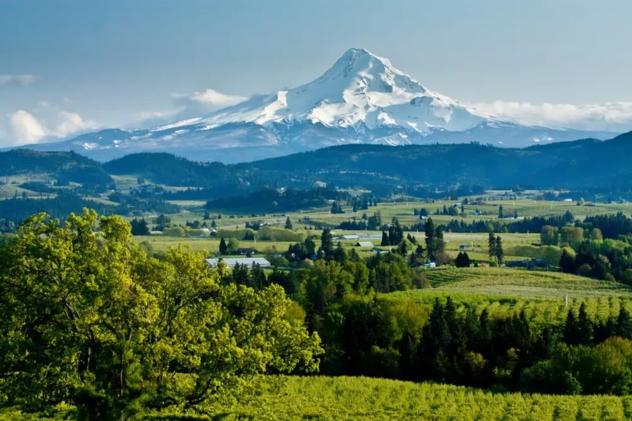 Choosing Land for a Custom Home in the Willamette Valley: A Builder's Guide