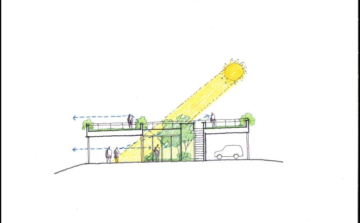 A section study — daylight, grade, and the rooftop terrace